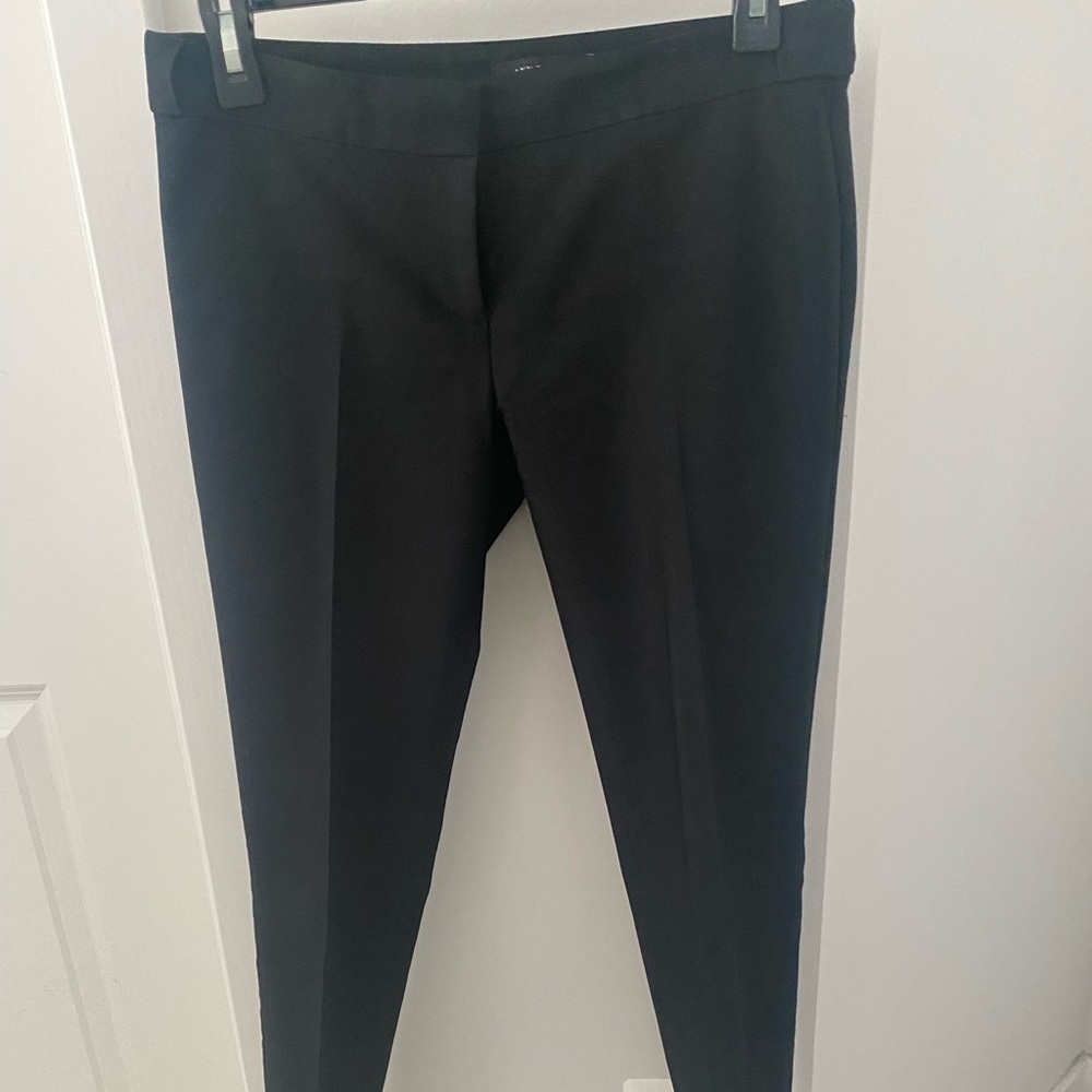 Ann Taylor Dress Pant